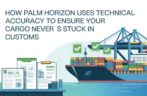 How Palm Horizon Uses Technical Accuracy to Ensure Your Cargo Never Gets Stuck in Customs