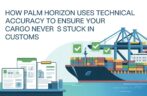 How Palm Horizon Uses Technical Accuracy to Ensure Your Cargo Never Gets Stuck in Customs